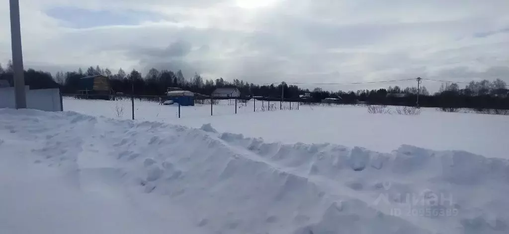 Участок в Костромская область, Красносельский район, Шолоховское ... - Фото 1