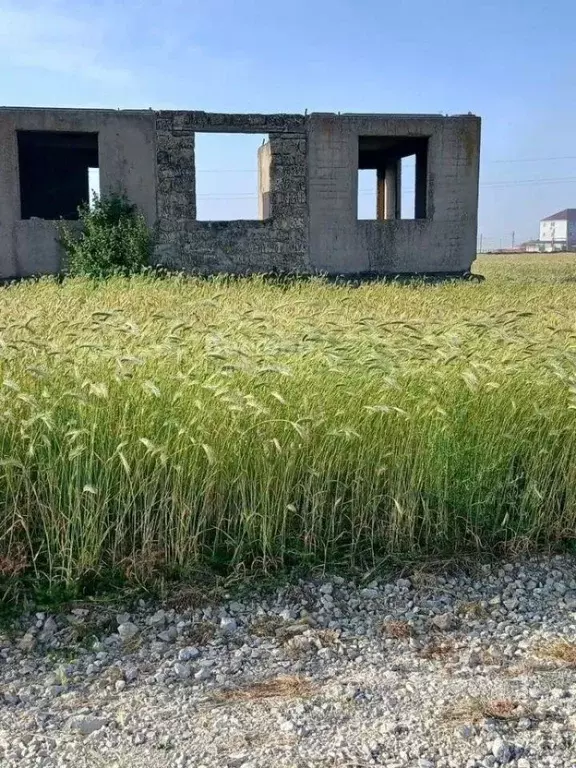 Дом в Крым, Феодосия муниципальный округ, Приморский пгт ул. Школьная, ... - Фото 1