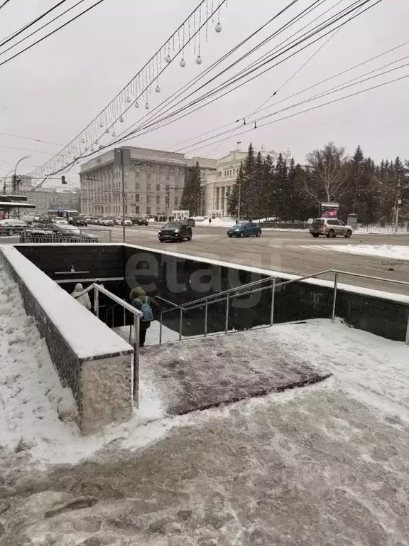 Помещение свободного назначения в Новосибирская область, Новосибирск ... - Фото 2