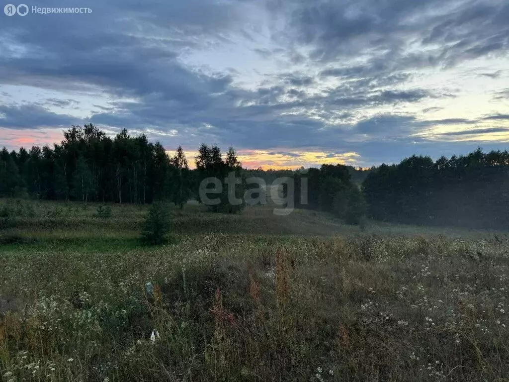 Участок в Богородское сельское поселение, деревня Камыш (12 м) - Фото 0