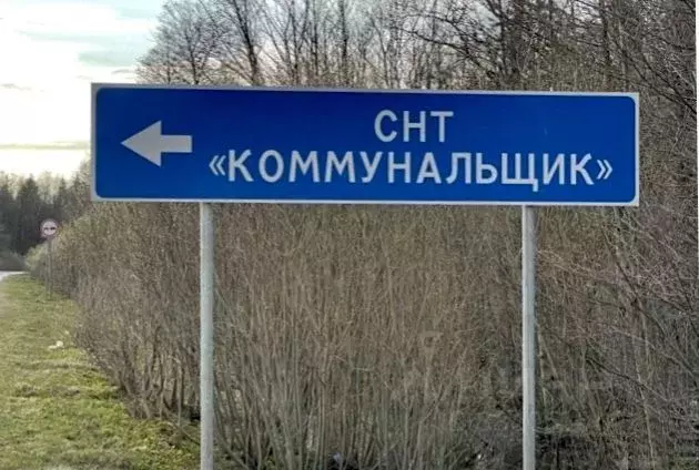 Участок в Ленинградская область, Кингисеппский район, Большелуцкое ... - Фото 1
