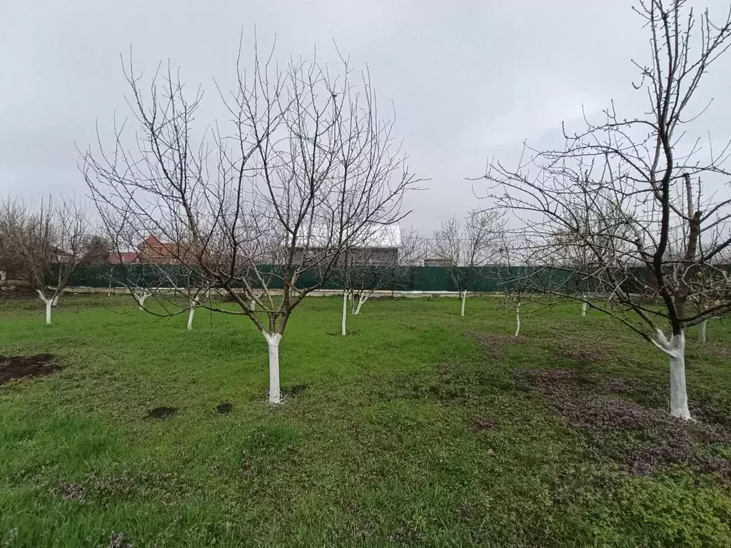 Участок в Адыгея, Тахтамукайский район, Козет аул Кольцевая ул. (6.5 ... - Фото 2