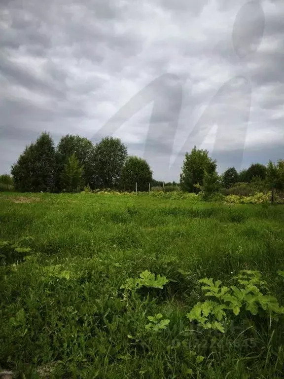 Участок в Московская область, Клин городской округ, д. Елгозино ул. ... - Фото 1