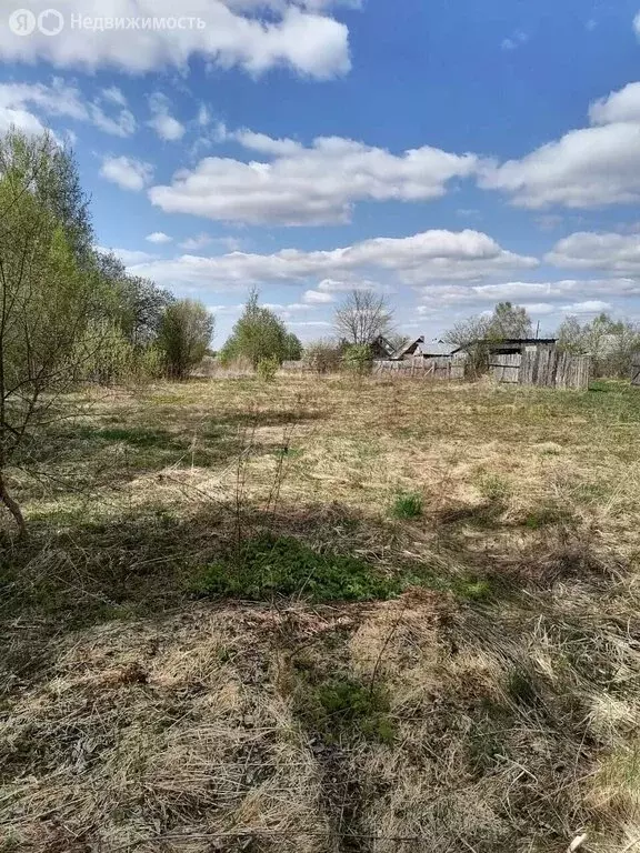 Участок в Судогодский район, муниципальное образование Мошокское, ... - Фото 0