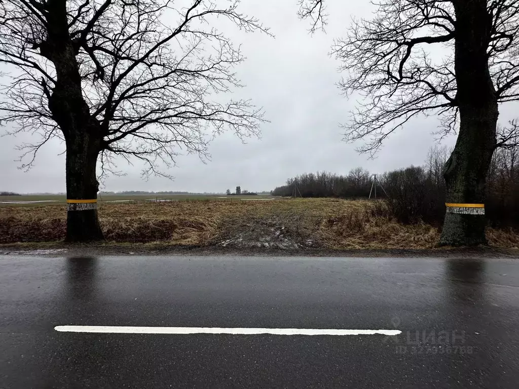Участок в Калининградская область, Багратионовский муниципальный ... - Фото 1