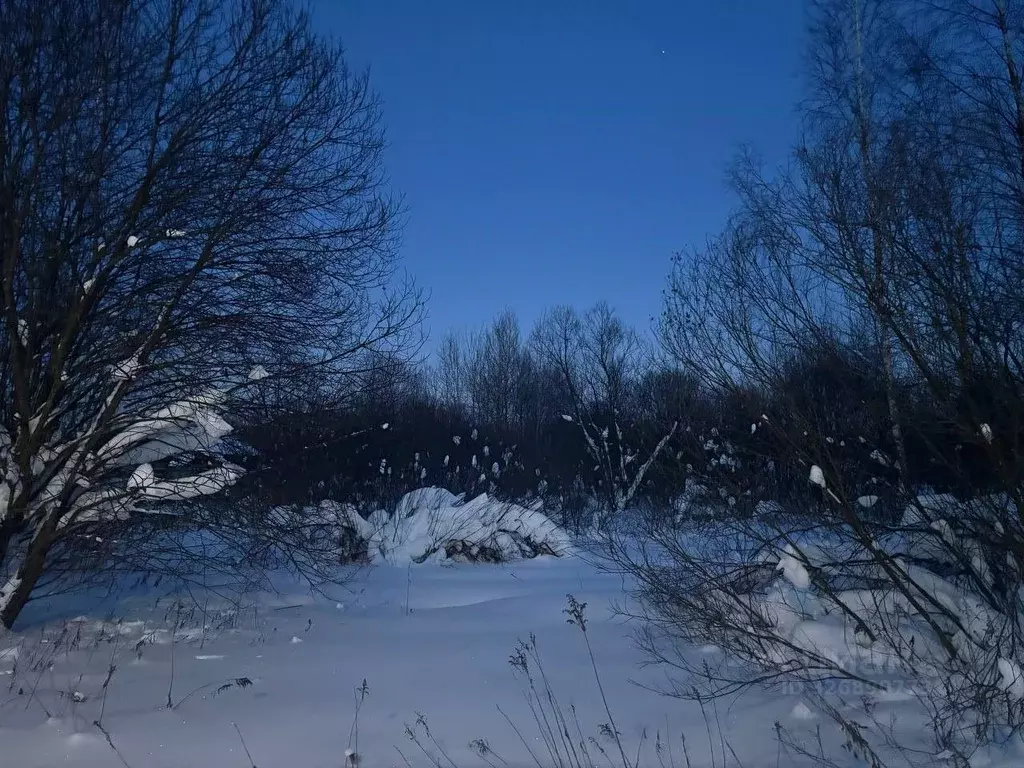 Участок в Московская область, Павлово-Посадский городской округ, д. ... - Фото 1
