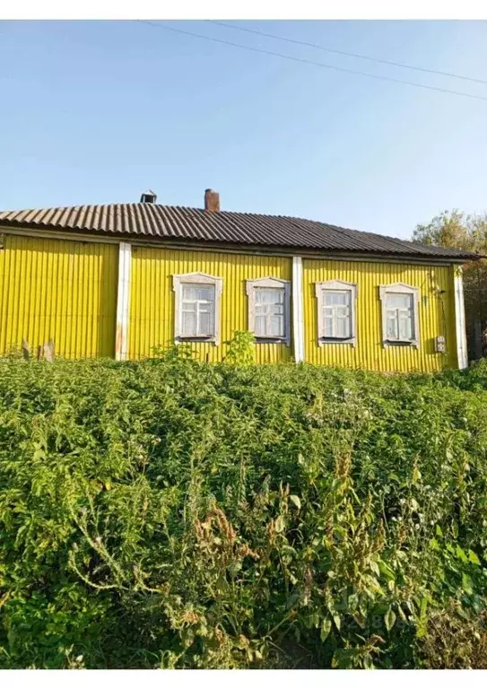 Дом в Воронежская область, Нижнедевицкий район, Скупопотуданское ... - Фото 1