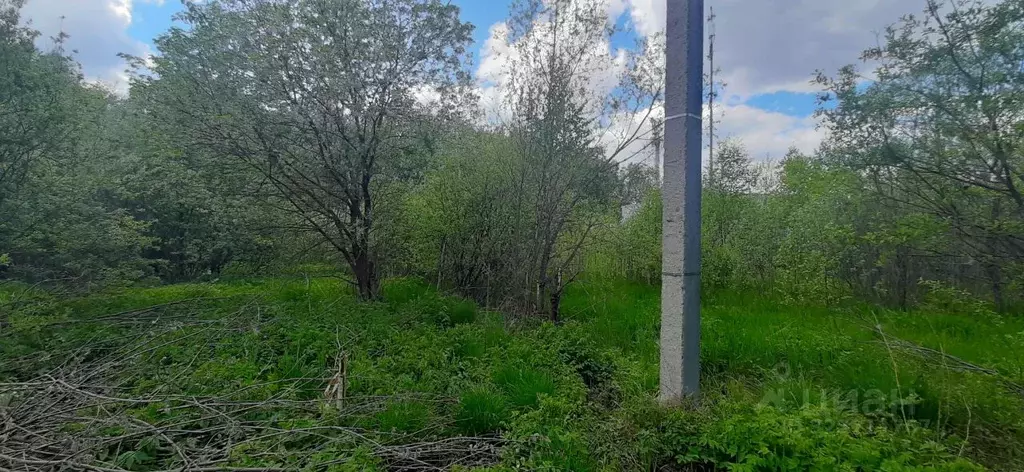 Участок в Москва пос. ДСК Мичуринец, ул. Энгельса (10.0 сот.) - Фото 1