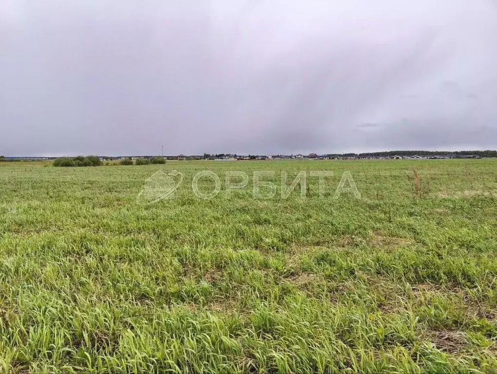 Участок в Тюменская область, Тюменский район, д. Елань 14 (7.18 сот.) - Фото 0