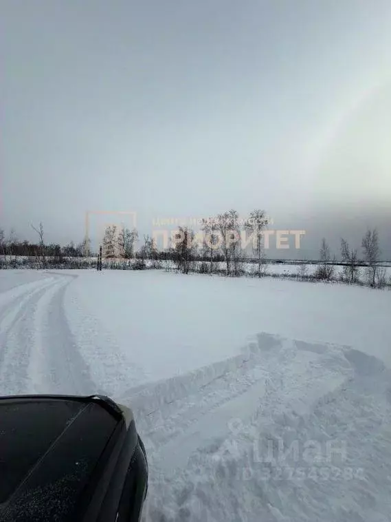 Участок в Саха (Якутия), Якутск городской округ, с. Хатассы  (10.0 ... - Фото 2