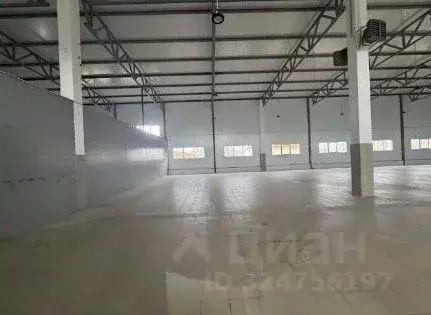 Склад в Ленинградская область, Отрадное Кировский район, Ленинградское ... - Фото 1