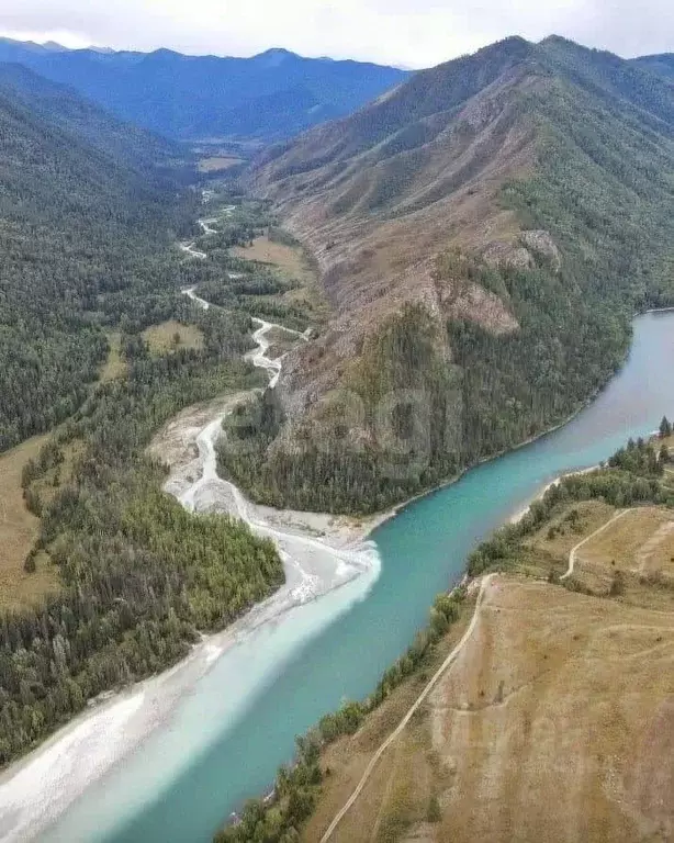 Участок в Алтай, Усть-Коксинский район, с. Усть-Кокса  (3456.12 сот.) - Фото 1