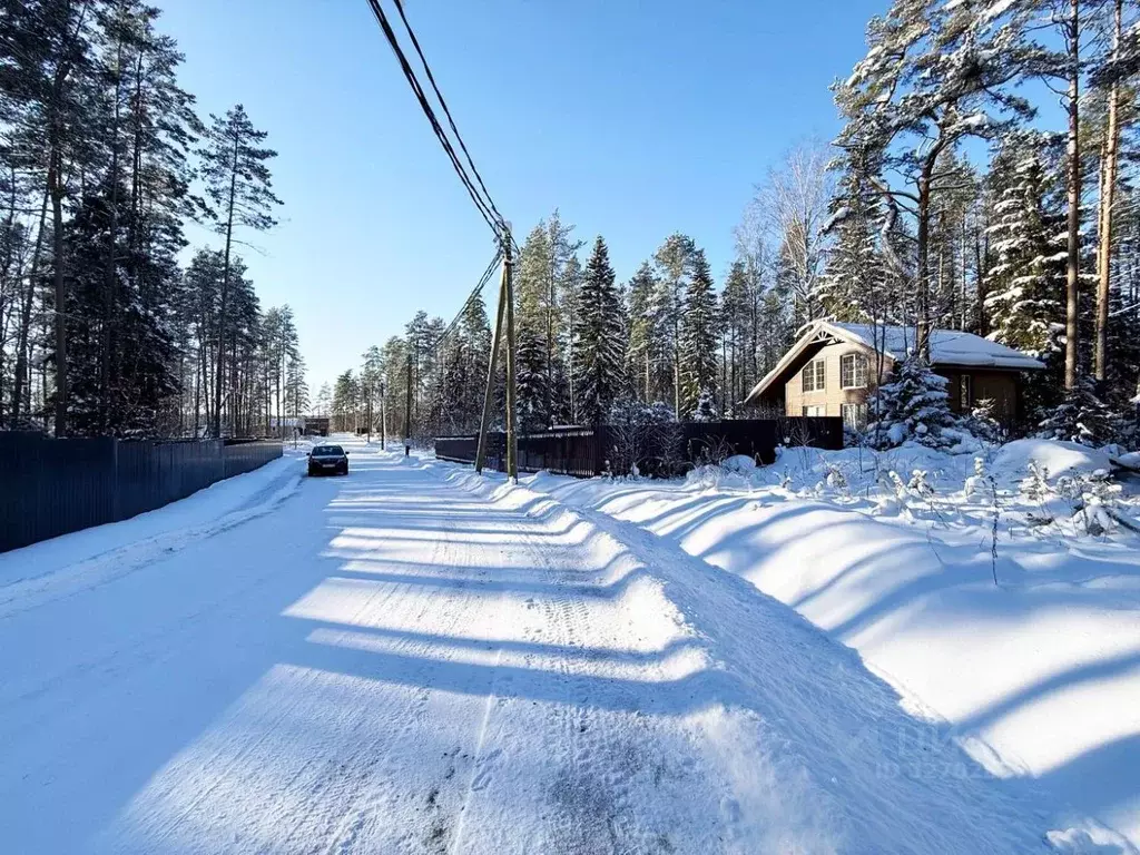Участок в Ленинградская область, Выборгский район, Приморское ... - Фото 2