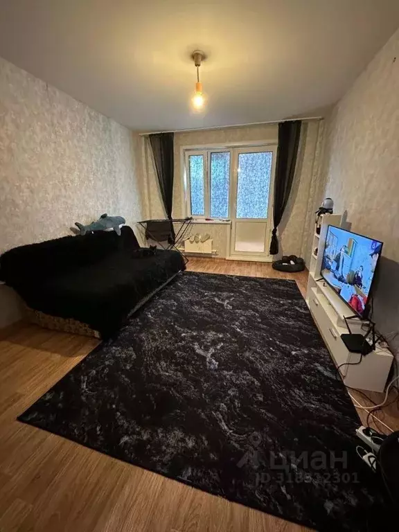 Студия Красноярский край, Красноярск ул. Карамзина, 6 (27.0 м) - Фото 0