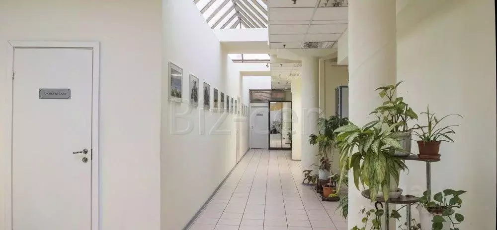 Офис в Санкт-Петербург пер. Апраксин, 8 (29 м) - Фото 1