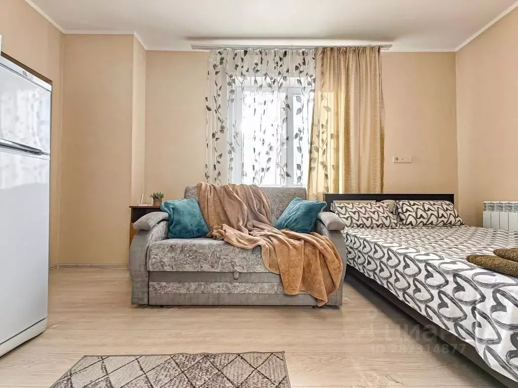 1-к кв. Новосибирская область, Новосибирск ул. Фрунзе, 49/1 (20.0 м) - Фото 2