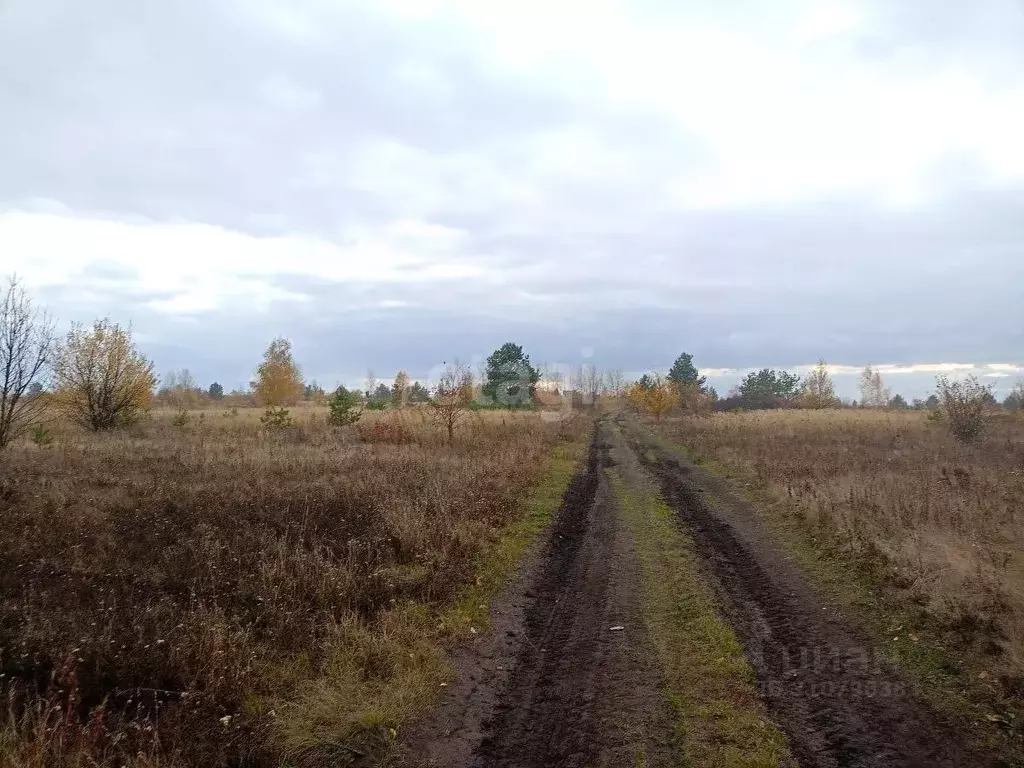 Участок в Воронежская область, с. Верхняя Хава ул. Новопокровская ... - Фото 0