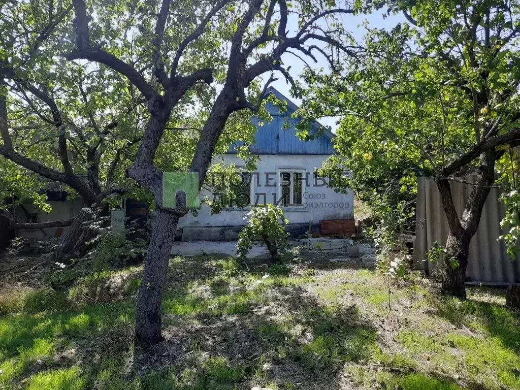 Участок в Краснодарский край, Новороссийск городской округ, пос. ... - Фото 1