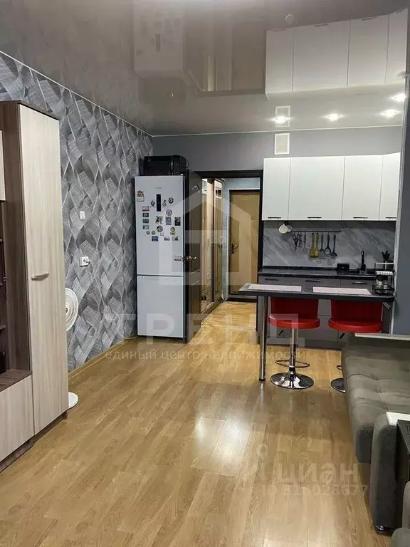 Студия Санкт-Петербург просп. Энтузиастов, 31к3 (26.7 м) - Фото 1