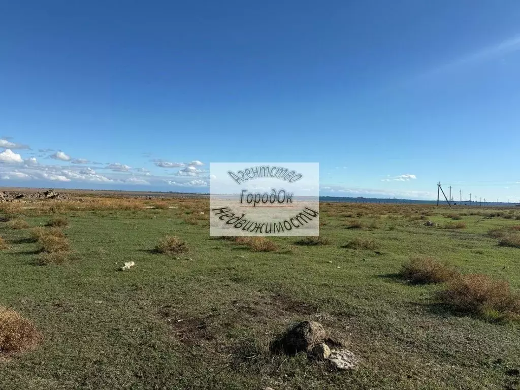 Участок в Крым, Черноморский район, Медведевское с/пос, пос. Озеровка  ... - Фото 1