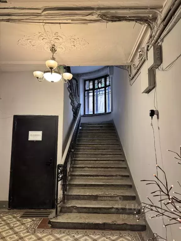 Комната Санкт-Петербург Малодетскосельский просп., 7 (19.6 м) - Фото 2