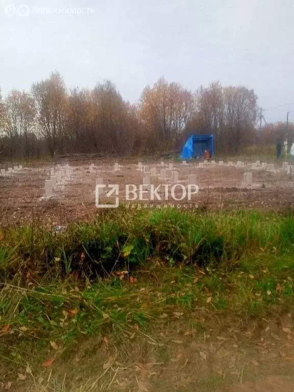 Участок в Ивановский муниципальный округ, деревня Дегтярево, Тенистая ... - Фото 1