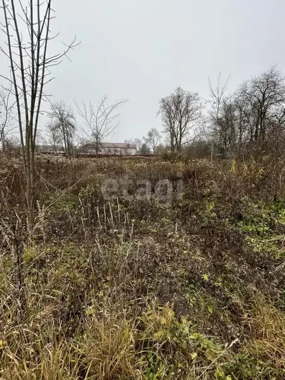 Участок в Калужская область, Дзержинский район, Совхоз Чкаловский ... - Фото 2