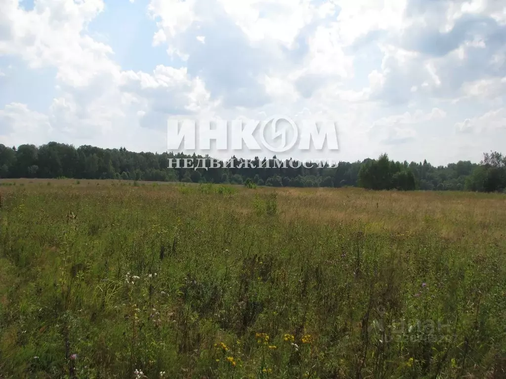 Участок в Московская область, Можайский муниципальный округ, Знаменка ... - Фото 1