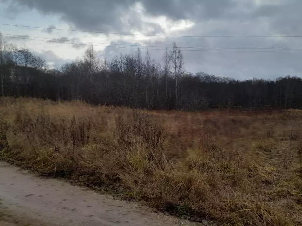 Участок в Новгородская область, Хвойнинский муниципальный округ, д. ... - Фото 1