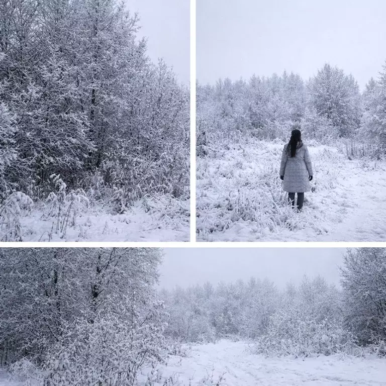 Участок в Московская область, Павловский Посад Афанасовская ул., 62 ... - Фото 1