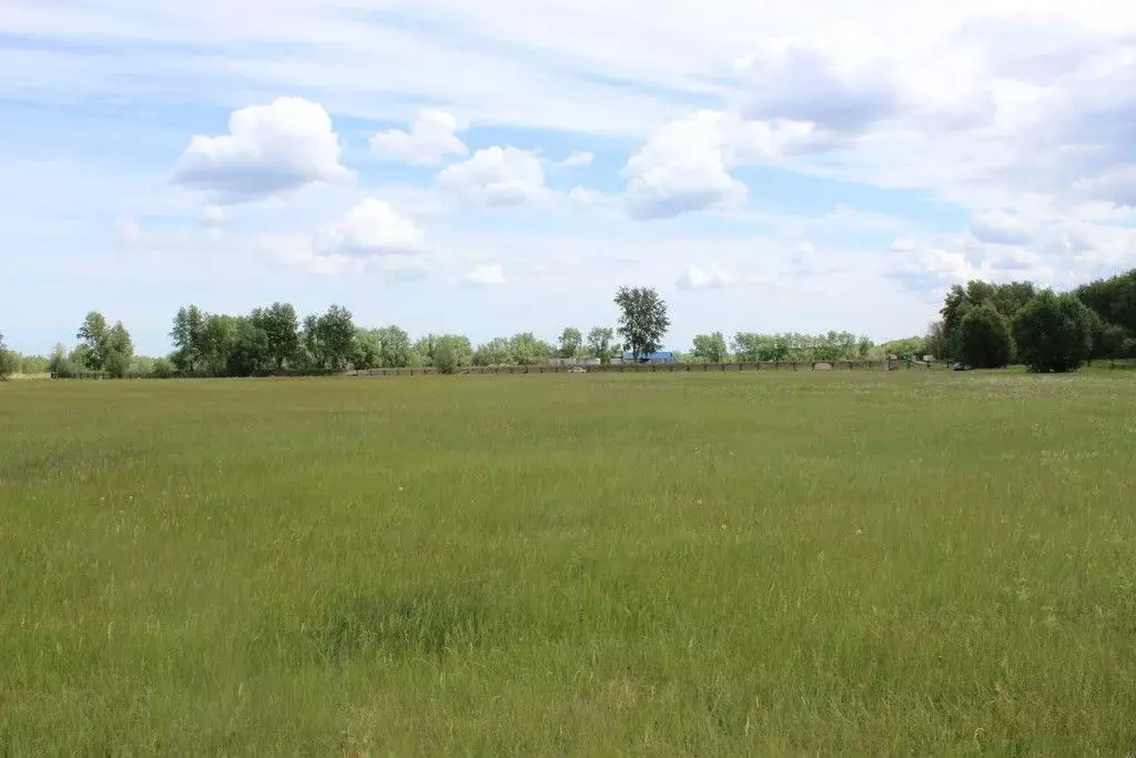 Участок в Омская область, Шербакульский район, с. Красноярка ул. ... - Фото 1