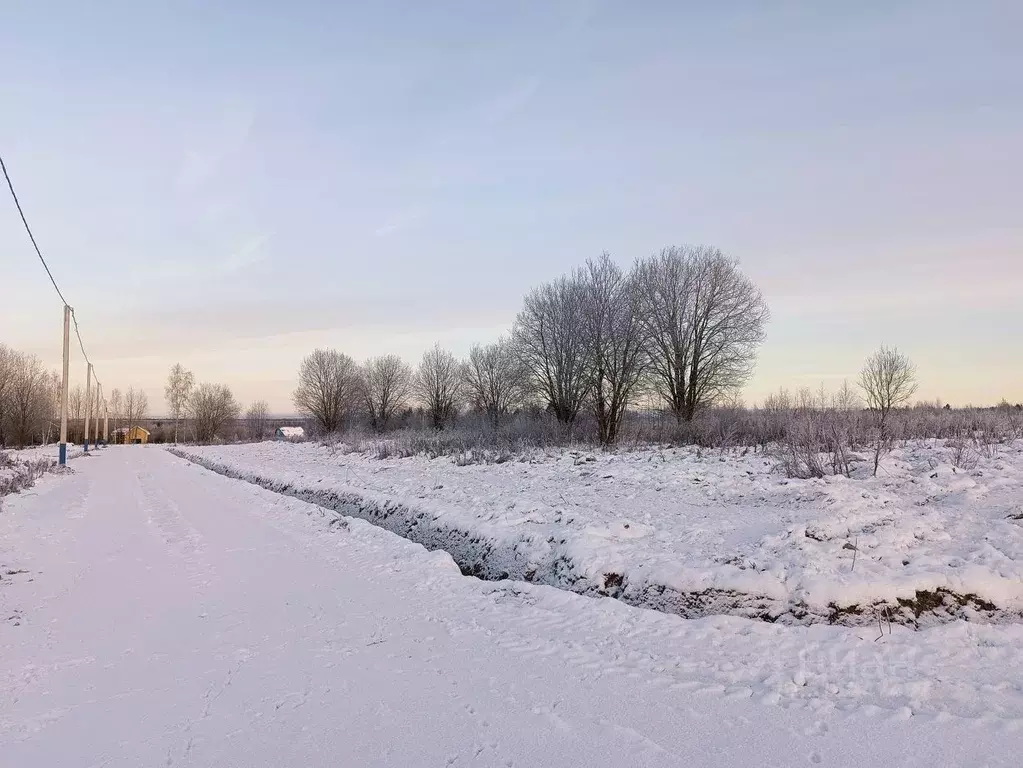 Участок в Московская область, Клин городской округ, Коськово кп  (6.0 ... - Фото 1