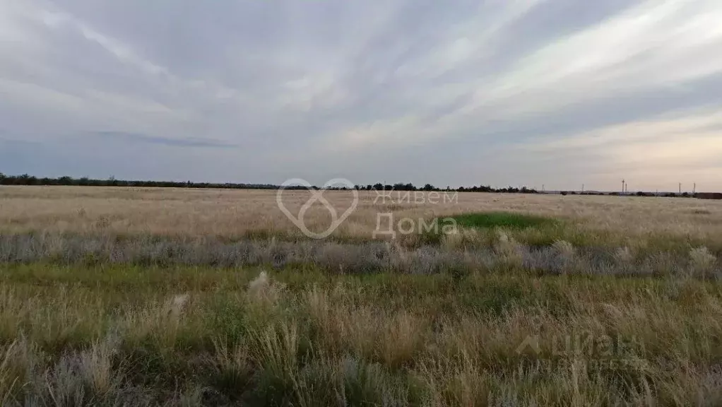 Участок в Волгоградская область, Волгоград Село Песчанка тер., ул. ... - Фото 1