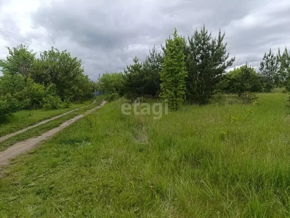 Участок в Воронеж, СНТ Берёзка (9 м) - Фото 1