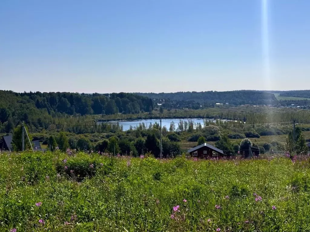 Участок в Московская область, Дмитровский городской округ, Сбоево кп ... - Фото 1