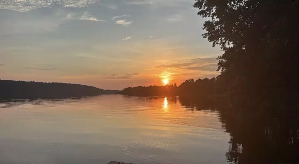 Участок в Ленинградская область, Выборгский район, Полянское с/пос, ... - Фото 1