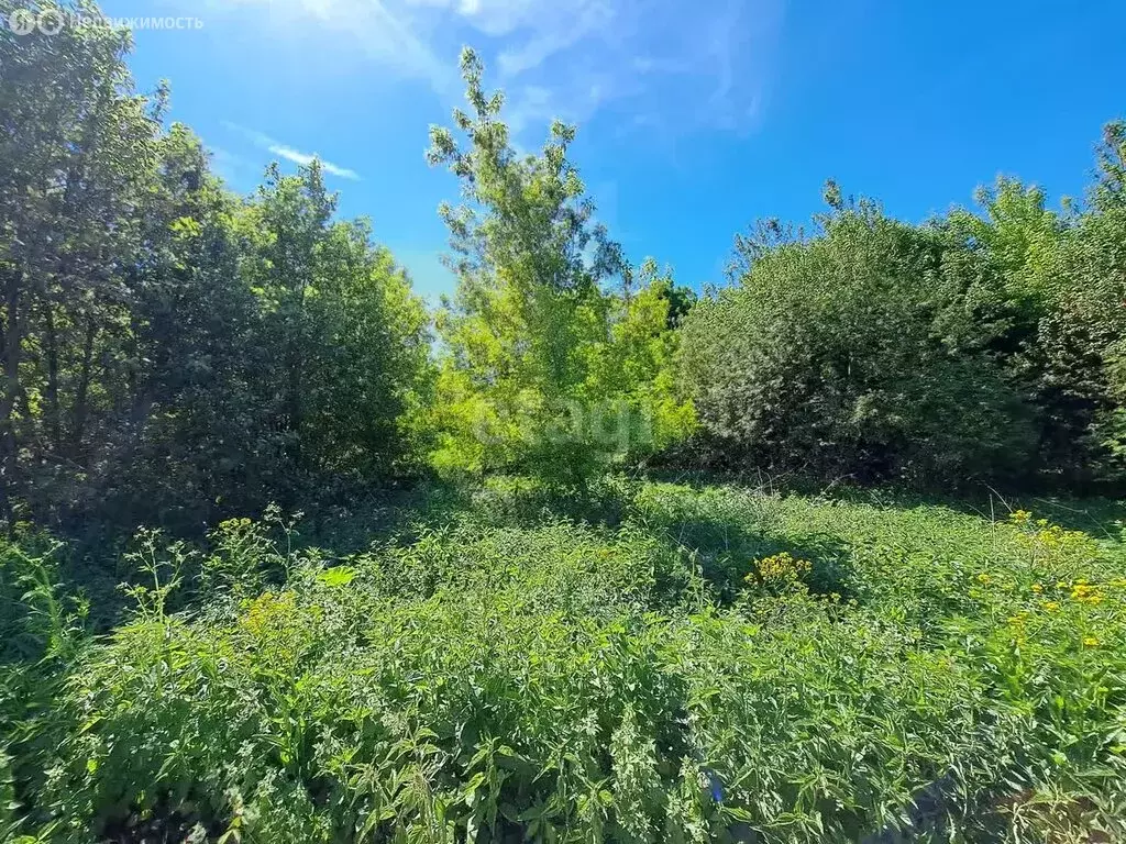 Участок в Московская область, городской округ Зарайск, деревня Якшино ... - Фото 0