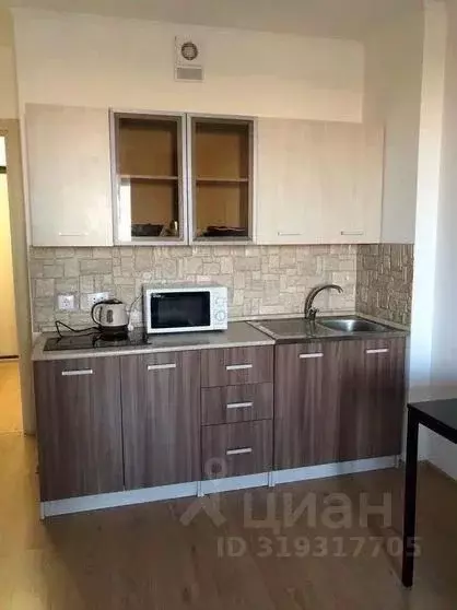 Студия Санкт-Петербург просп. Энергетиков, 9к6 (25.0 м) - Фото 0