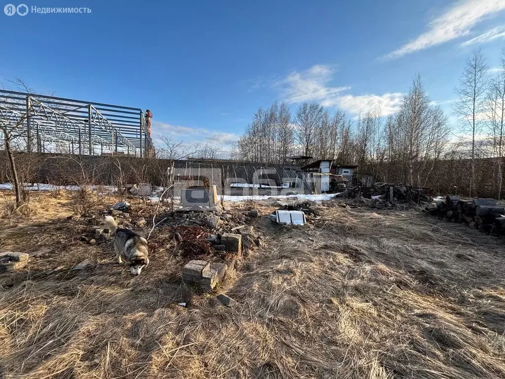 Участок в Кострома, Центральный район (10 м) - Фото 2