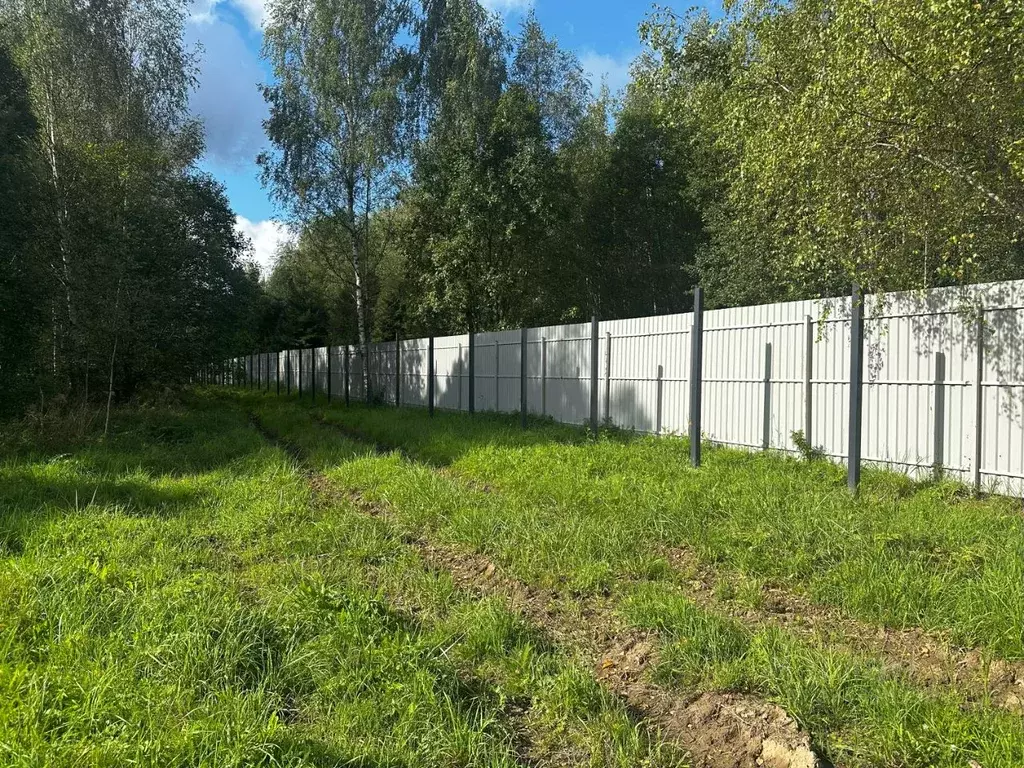 Участок в Московская область, Мытищи городской округ, д. Еремино ул. ... - Фото 1