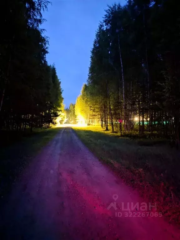 Дом в Ярославская область, Мышкинский муниципальный округ, д. Золотуха ... - Фото 1