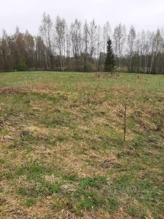 Участок в Новгородская область, Чудовский район, Грузинское с/пос, д. ... - Фото 2