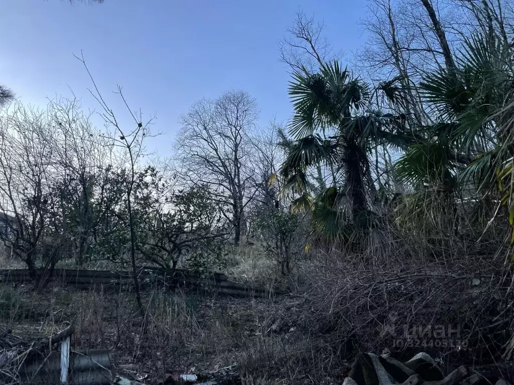 Участок в Краснодарский край, Сочи пос. Мамайский Перевал, пер. ... - Фото 2