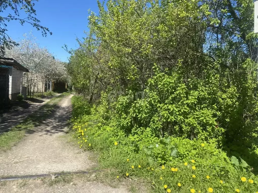 Участок в Нижегородская область, Нижний Новгород Победа СНТ, 68 (4.91 ... - Фото 0