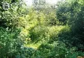 Участок в Можга, Союзная улица (3 м) - Фото 1