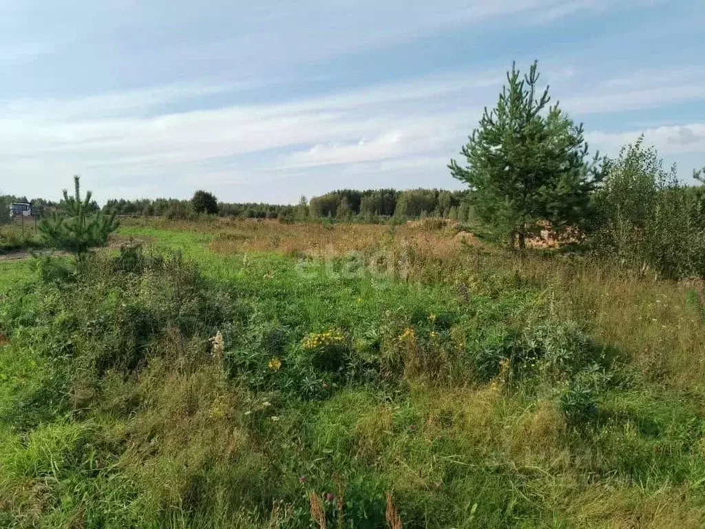 Участок в Владимирская область, Ковров Хвойная ул. (10.0 сот.) - Фото 0