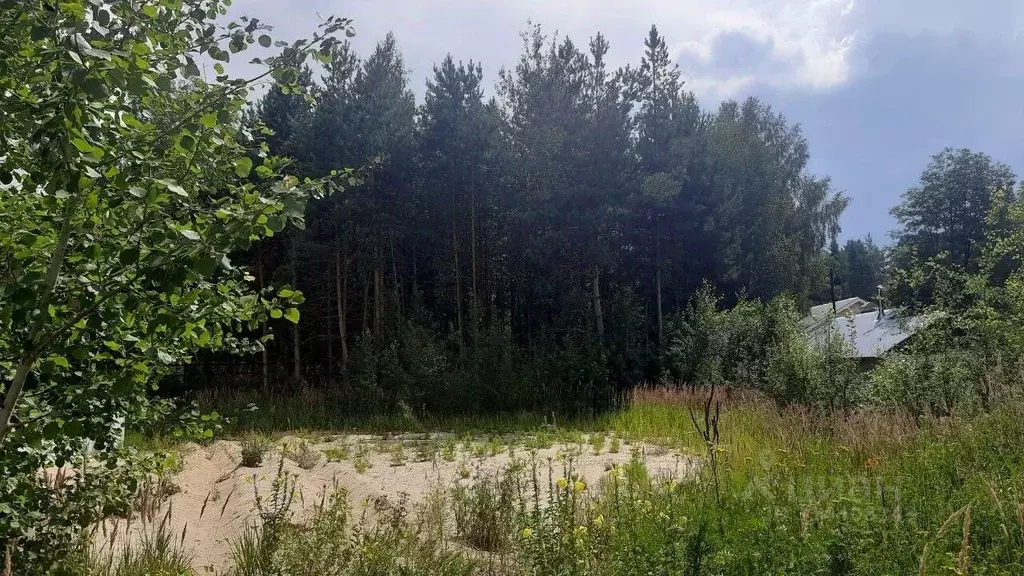Участок в Владимирская область, Камешковский район, Второвское ... - Фото 1