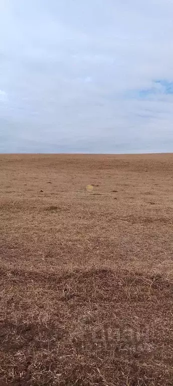 Участок в Иркутская область, Баяндаевский район, с. Тургеневка  ... - Фото 1