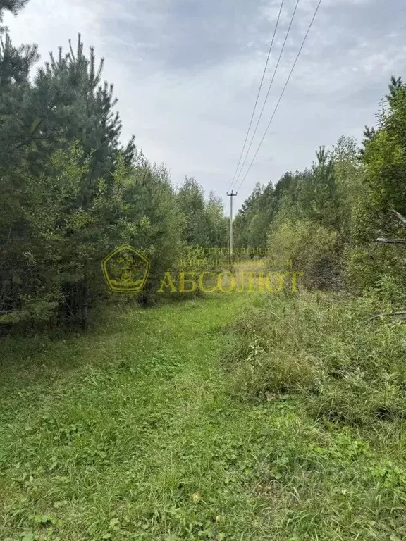 Участок в Свердловская область, Ревда  (4018.0 сот.) - Фото 2