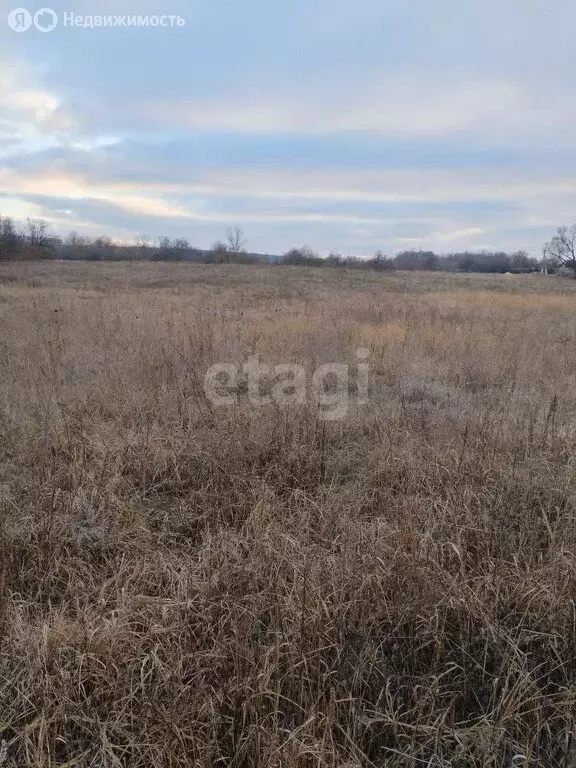 Участок в Белгородская область, Новый Оскол (100 м) - Фото 1